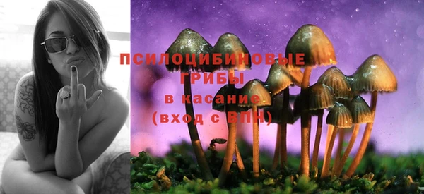 Альфа ПВП Барнаул