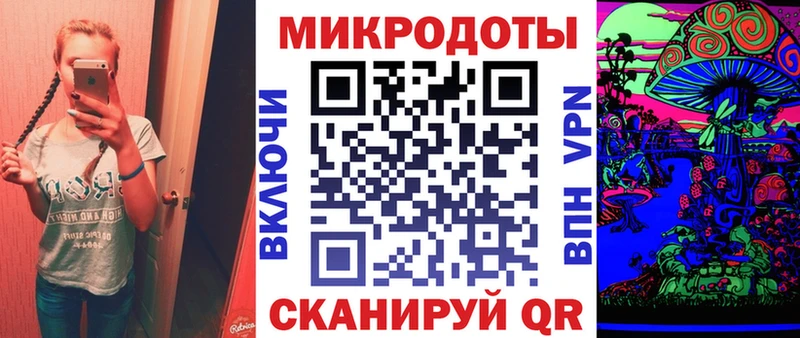 Купить Михайловка Псилоцибиновые грибы Psilocybine cubensis